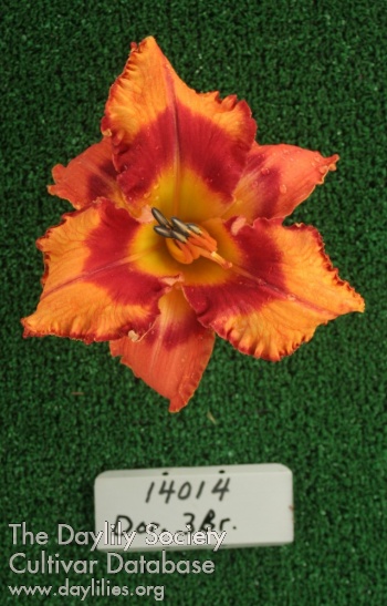 Topguns Comanche Sunrise AHS image