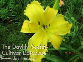 Heather at Sunrise AHS image