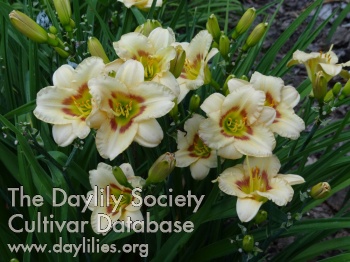 Cobbs Hill Spring AHS image