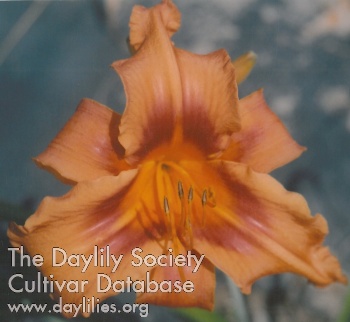Wieslaw Michnikowski AHS image