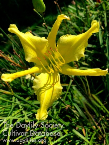 Meadow Breeze AHS image
