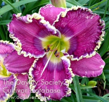 Larry Raymond AHS image
