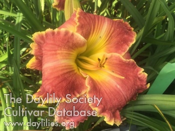 Sweet Helen AHS image