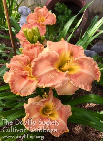 Granny Peach AHS image