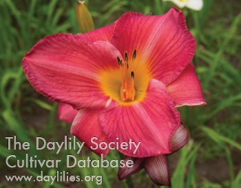 Olallie Chance! AHS image