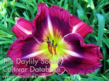 Honoring Gardeners Anonymous