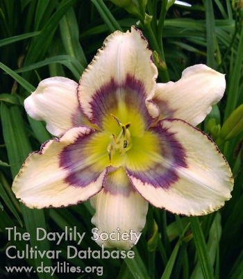 Ornamented Doo Dad AHS image