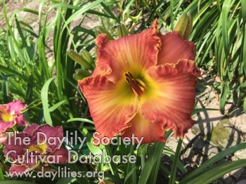 Byline in Blooms