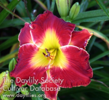David Jerrell AHS image