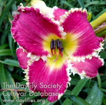 Zoo Docents AHS image