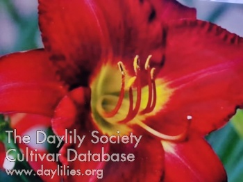 Debbie Froese AHS image