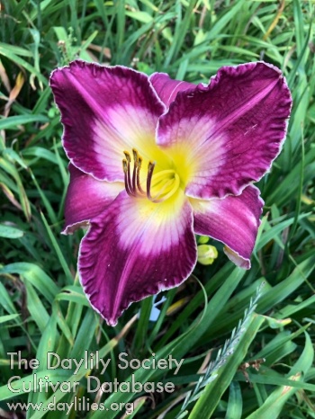 Hill Hollow Chilled Wine