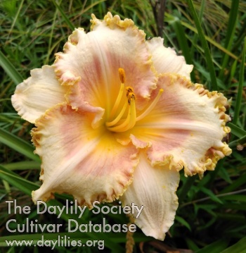 Carol Elaine Dupuis AHS image