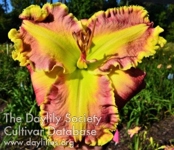 My Darling Karentine AHS image