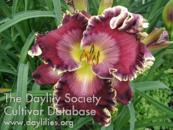 Discerning Heart AHS image