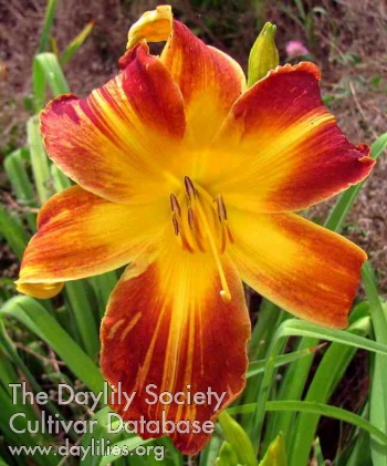 Read 'Em and Weep AHS image