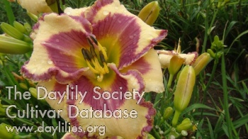 Florian AHS image