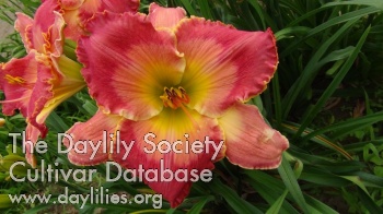 Bloomsburg AHS image