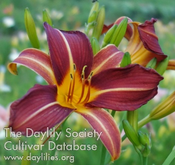 Olallie Fletcher AHS image