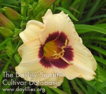 Olallie Joyce Lee AHS image