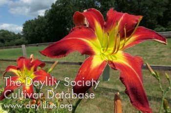 Boitzer Triumphator AHS image