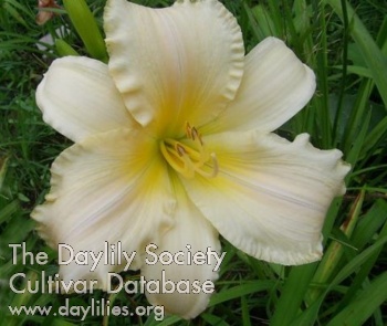 Stonyhill Sweet Sister AHS image