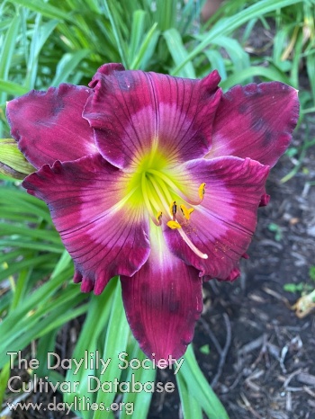J.T. Coppinger AHS image