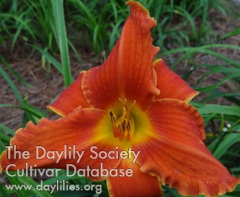 Fiery Disposition