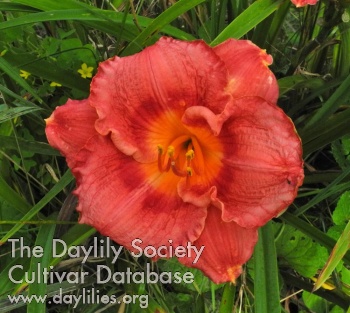 Olallie Skip Forbes AHS image