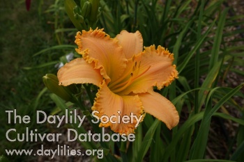 West Hills Beauty AHS image