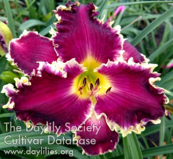 Gregory C. May AHS image