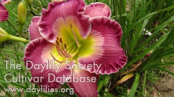 Chatsworth AHS image