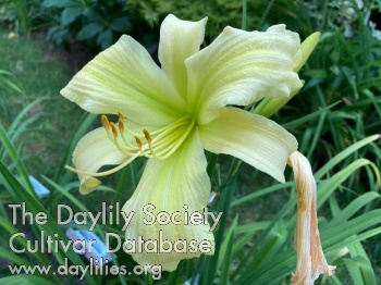 Tony DiGiovanni's Green For Life AHS image