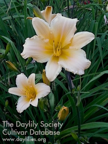 The Star of Earendil AHS image