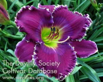 Mother's Day Morning AHS image