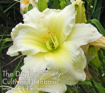 Olallie Bill and Bonnie Murphy AHS image