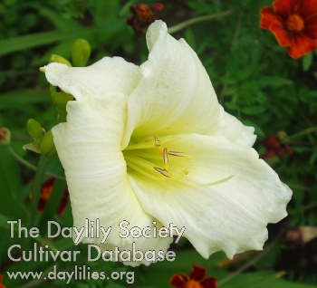 Olallie Granby Hills AHS image