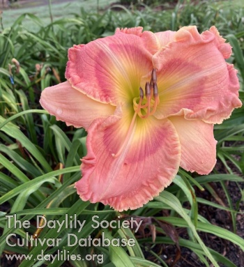 Margie Dudley