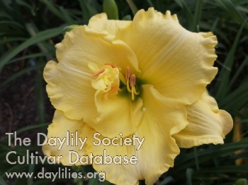 Du Soleil au Jardin AHS image