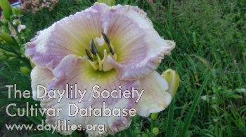 Irma Evelyn AHS image