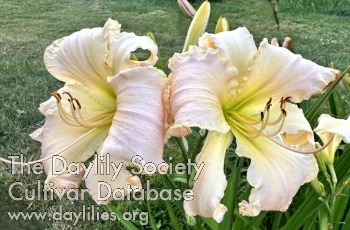 Helen Roth Memorial AHS image