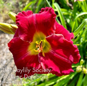 Heartfully Yours AHS image