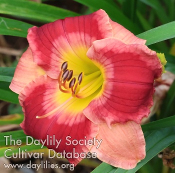 Keyth Devillier AHS image