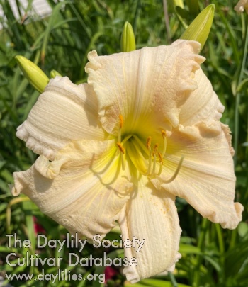 Pour Mon Amie Diane Clarinette AHS image