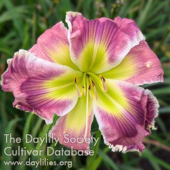 Ahead of the Curve image