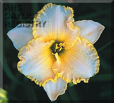 Anniversary Gold AHS image