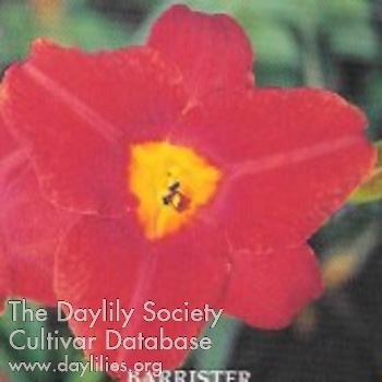 Barrister AHS image