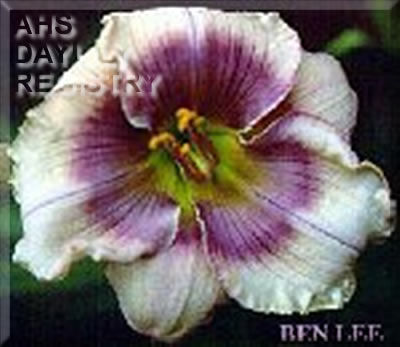 Ben Lee AHS image