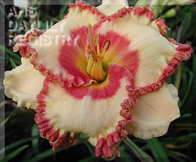 Braided Edgings AHS image