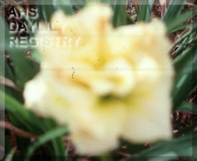 Bubba's Way AHS image